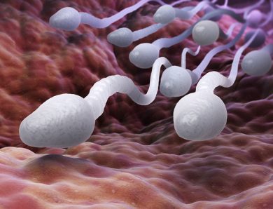 До чого сниться сперма: тлумачення сну по популярним сонникам