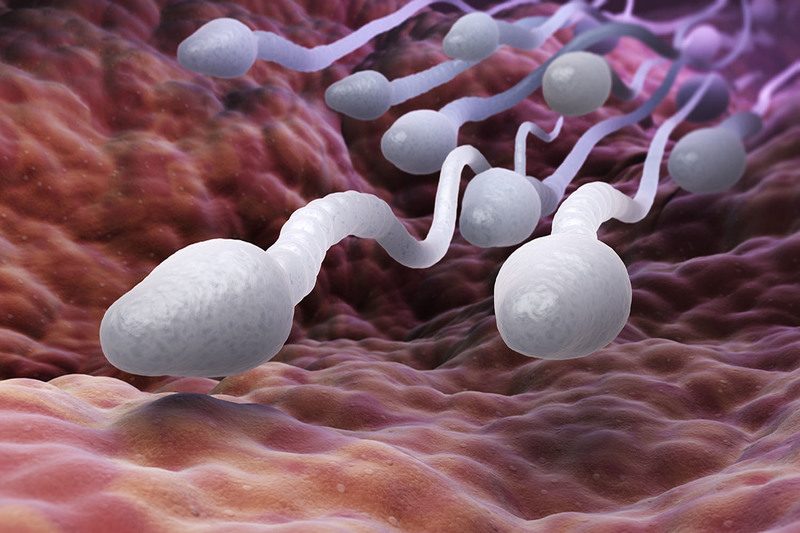 До чого сниться сперма: тлумачення сну по популярним сонникам