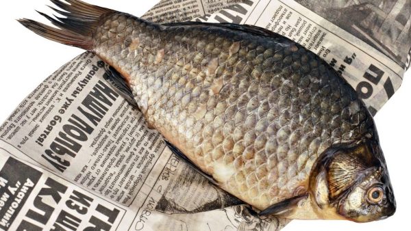 До чого сниться сушена (в’ялена) риба: тлумачення за різними сонникам