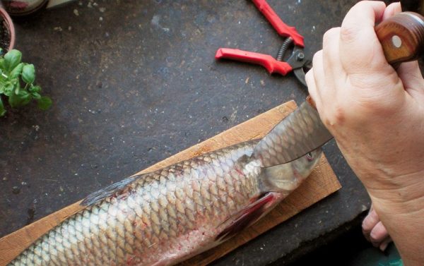 Що означає обробляти рибу у сні: тлумачення за різними сонникам