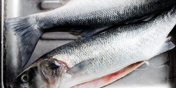 Що означає обробляти рибу у сні: тлумачення за різними сонникам